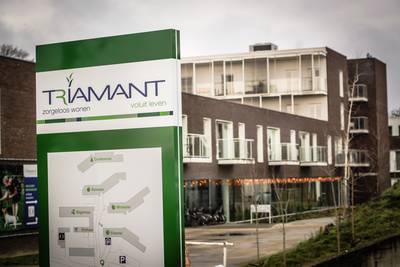 Stad dient klacht in tegen Triamant: “Alle vennootschappen van appartementen in slechte papieren”