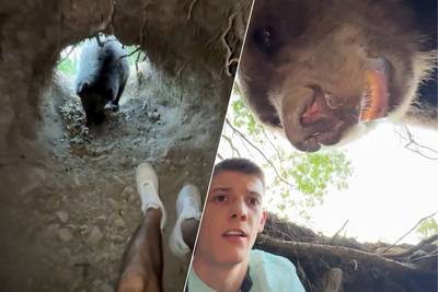 WATCH. Influencer goes filming in bear den, but then comes face to face with resident