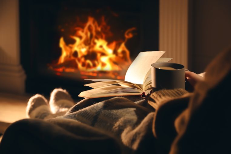 Dringend advies: “Stook tot en met donderdag geen hout” Beeld Getty Images/iStockphoto