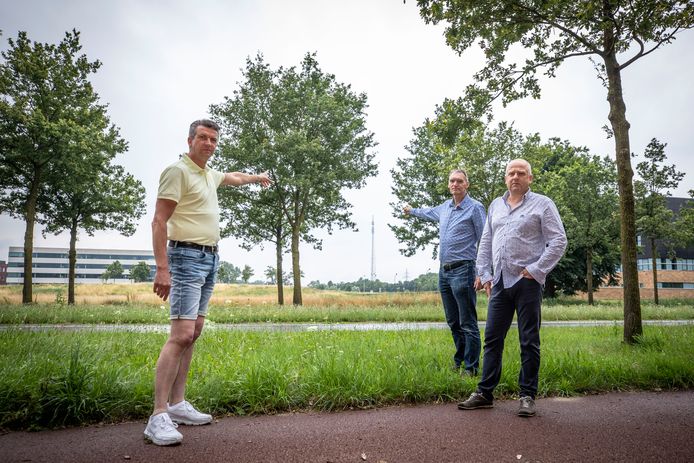 Frank de Kruijff, Hans Ritsema en  Ibo Oosterdijk (vlnr) wijzen naar de zendmast van RTV Oost. De beoogde windturbines worden bijna twee keer zo hoog, en die zijn ook nog eens dicht bij hun huizen in de Bornsche Maten gepland.
Daar voeren zij nu actie tegen.