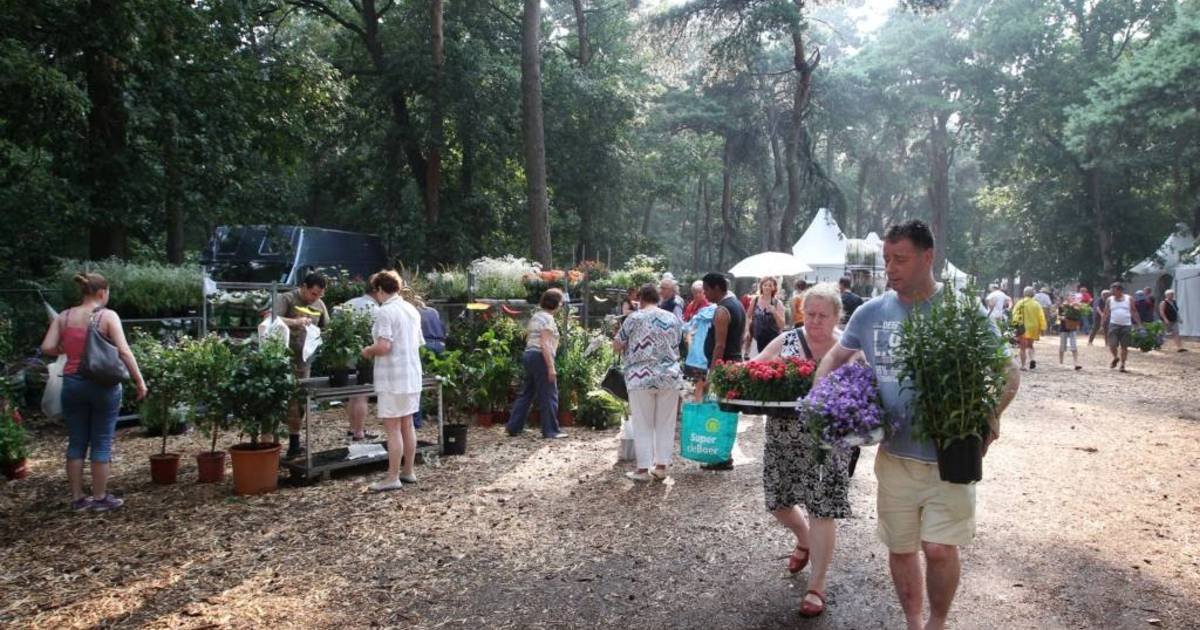 Jagen op geldboompje na Bloem en Tuin in Nuenen Nuenen ed.nl