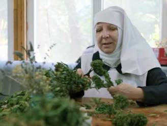 Bidden en blowen: cannabis kwekende nonnen stellen documentaire voor in Cannes
