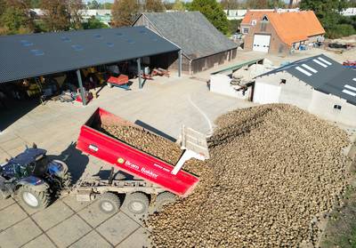 Bietencampagne van start in Herveld: bieten kleiner door droge zomer, prijs van suiker omhoog