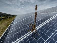 Donkere wolken boven Roosendaalse coalitie na nieuwe clash over zonneparken