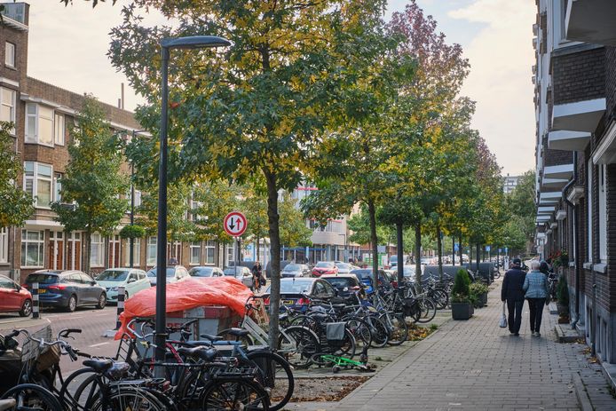 De Boerhaavelaan in Schiedam-Oost, één van de straten die onder de Rotterdamwet valt.
