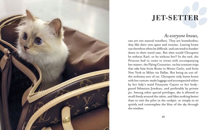 Een promobeeld uit 'Choupette: The Private Life of a High-Flying Fashion Cat'
