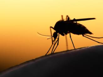 De strijd tegen malaria gaat door