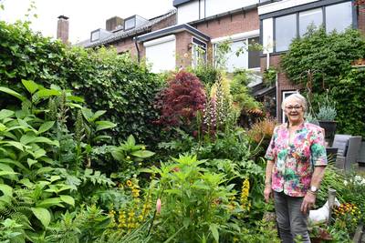 Bij Toon en Marij mogen de bloemen vrij groeien en bloeien: ‘Ik ken lang niet alle Latijnse namen’