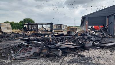‘Grote puinhoop’ na brand in schuur in Gilze: ‘Maar geluk dat alle koeien gespaard zijn gebleven’