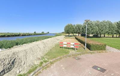In Terheijden moeten tachtig bomen verdwijnen, maar er komen er net zo veel voor terug