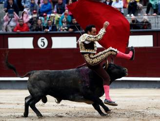 Stier neemt torero op de horens in Madrid