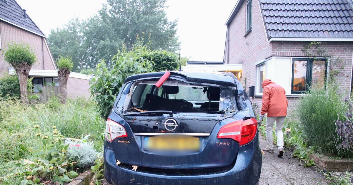 Boom explodeert door blikseminslag, ravage door rondvliegende stukken