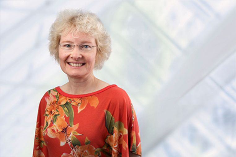 Annemieke Rozemuller Beeld -
