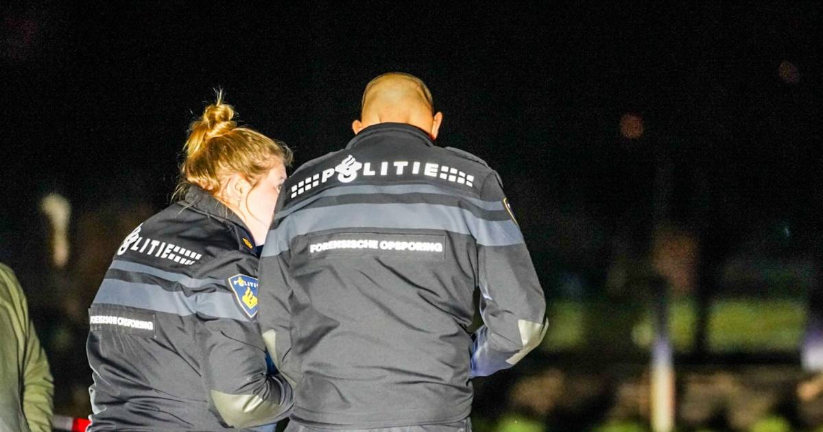 Overleden man in paardenwei Spoordonk stierf natuurlijke dood