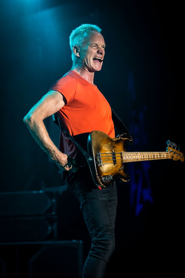 Sting Beeld Koen Keppens