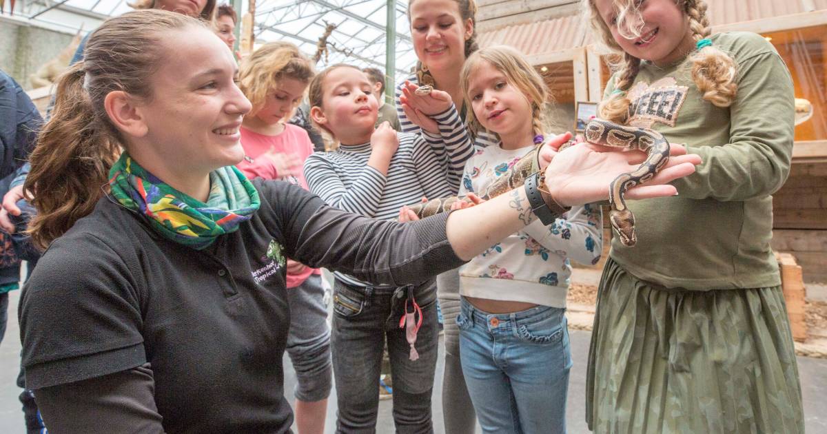 Tropical Zoo weer leukste uitje - Vogelpoepkikker vergeet je nooit meer