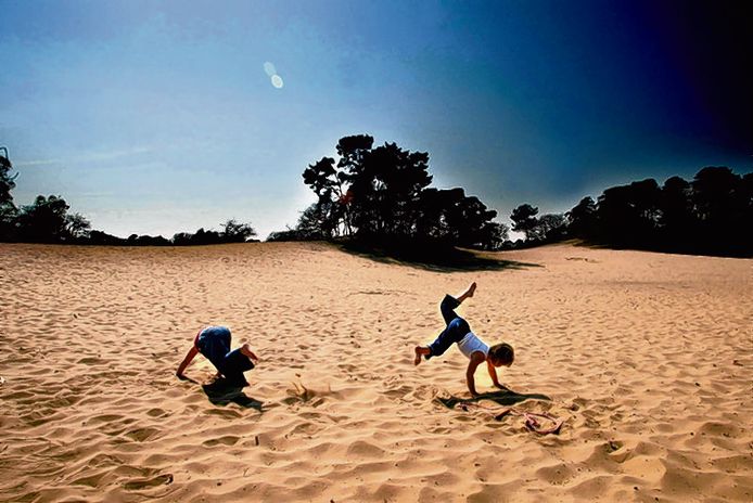 Kinderen spelen in de Loonse en Drunense duinen.