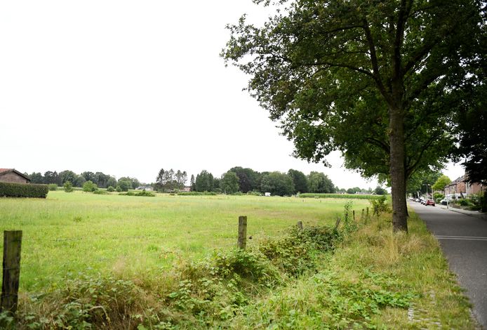 Het weiland op de hoek van de Veldkamp en Invalsweg, dat aangekocht is door een projectontwikkelaar. Woningen komen er volgens de gemeente Losser niet.