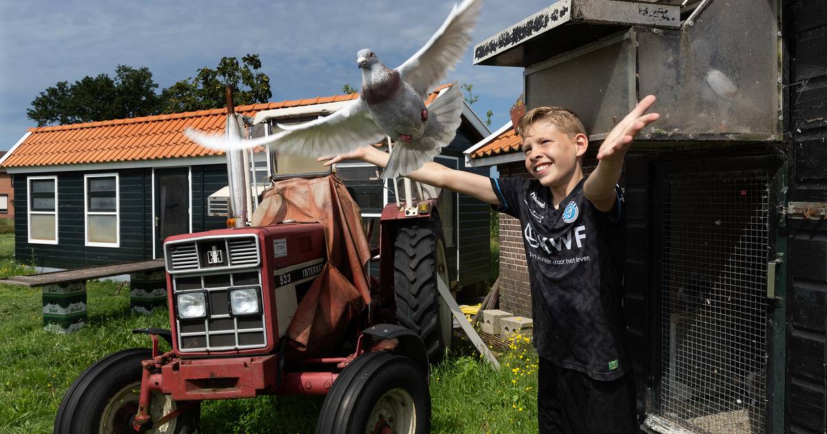 Le très jeune Dani l’emporte sur les colombophiles avec des pigeons super rapides : « Les copains du club ne sont pas jaloux, ils me le permettent » |  Bronckhorst