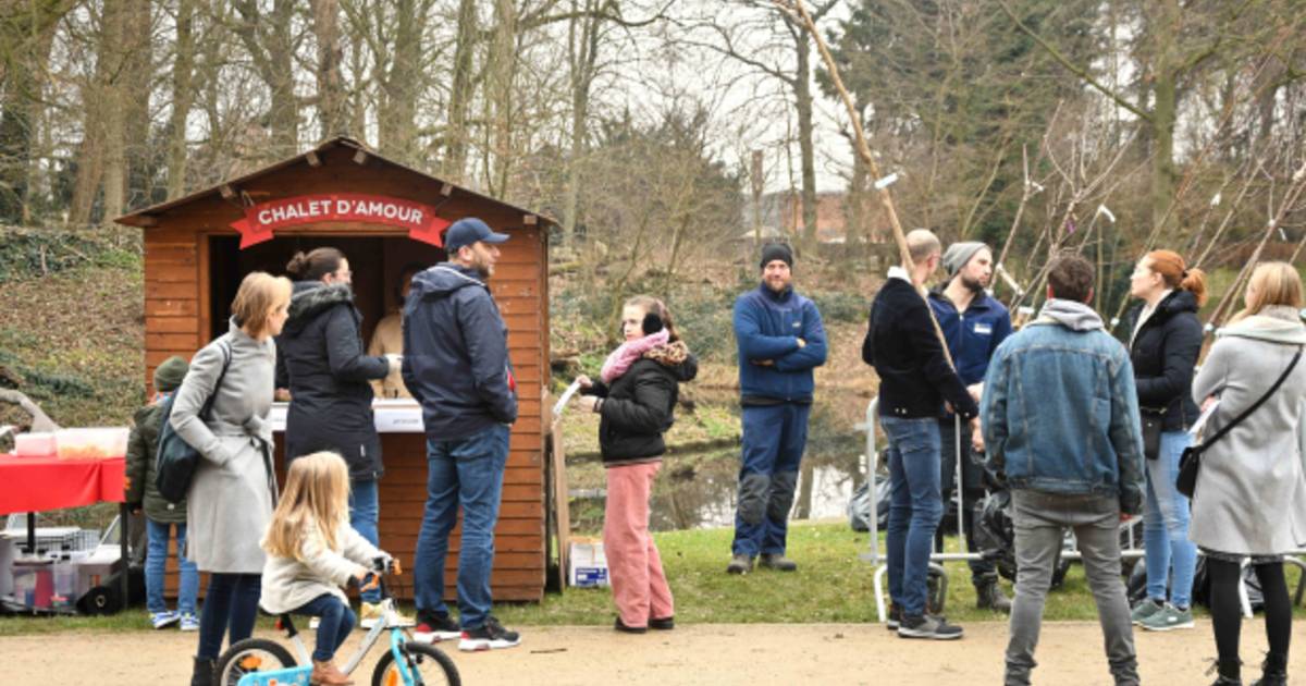 Chalet d’Amour schenkt huwelijksboom aan 112 koppels Wevelgem hln.be