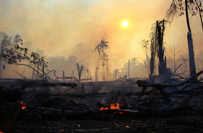 Bosbranden in het Amazonegebied, eerder deze week.