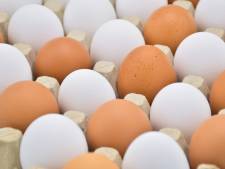Bruine eieren niet gezonder dan witte, wel veel duurder