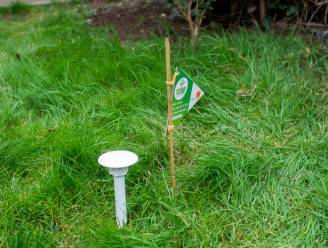 Tweede campagne van CurieuzeNeuzen in de Tuin van start gegaan