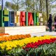 College Almere stapt op om ‘financieel drama’ rond Floriade