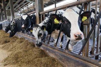 ‘Coöperatieve gedachte nieuw leven inblazen in de Kempen’