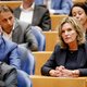 D66 zet omstreden wet op voltooid leven door, ongeacht de uitkomsten van kabinetsonderzoek