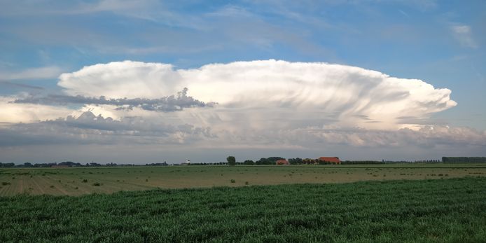 De wind voelen in de polders.