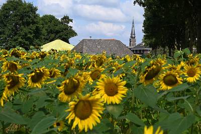 Onbegrip in Oploo: waar blijven die nieuwe woningen?