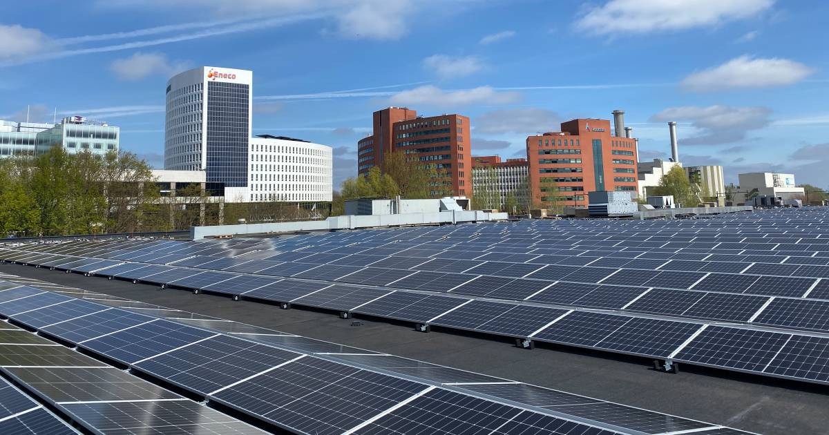 Alexandrium Megastores topleverancier van groene stroom: zee aan zonnepanelen op het dak - AD