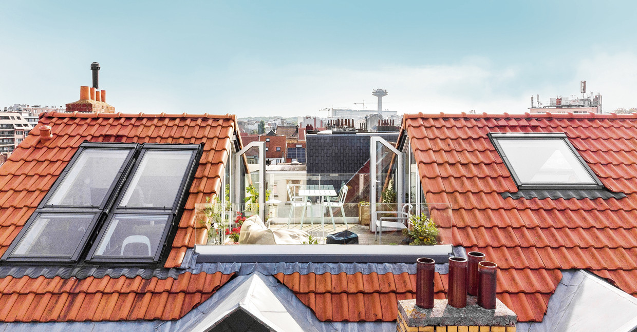 Frederick and Dimitri received a bite taken from the roof of their house.  Luke Roymans's photo