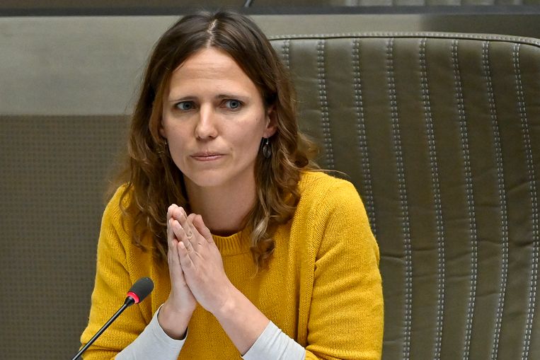 Groen-parlementslid An Moerenhout: 'Wij zijn zeker er voorstander van fraude aan te pakken, maar het moet wel op een juridisch sluitende manier gebeuren.' Beeld BELGA