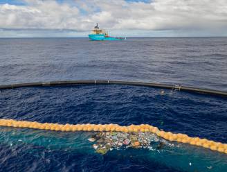 Verbeterde plasticvanger The Ocean Cleanup wérkt: “Zelfs miniscule stukjes worden verzameld”