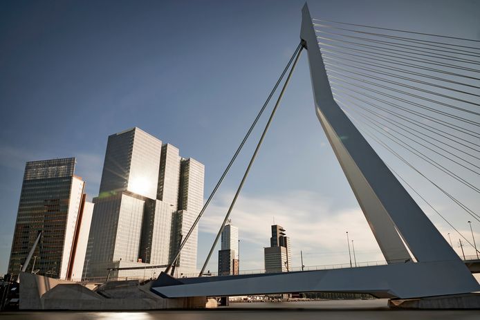 De Erasmusbrug in Rotterdam.