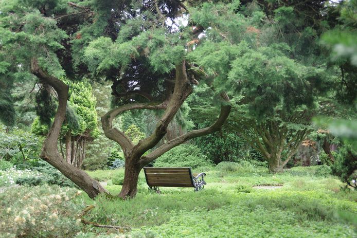 Botanische tuin Trompenburg.