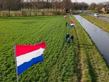 Nieuws gemist? Vlaggen wapperen weer normaal na verkiezingen • Schurft steekt de kop op 