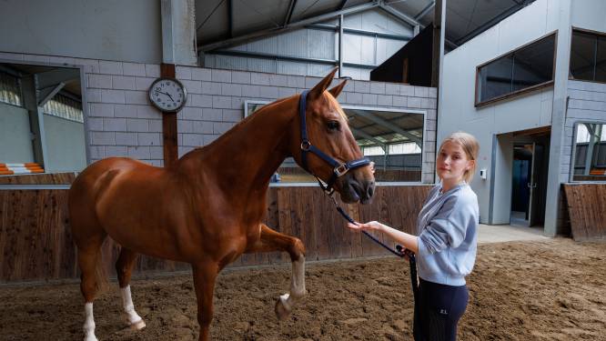Dieven stelen peperduur paardenzadel van Mirne (19) uit Elburg: ‘Al mijn spaargeld zit erin’