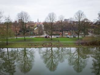 Groningen is bezaaid met smileys van bladeren: wie is die mysterieuze bladkunstenaar?