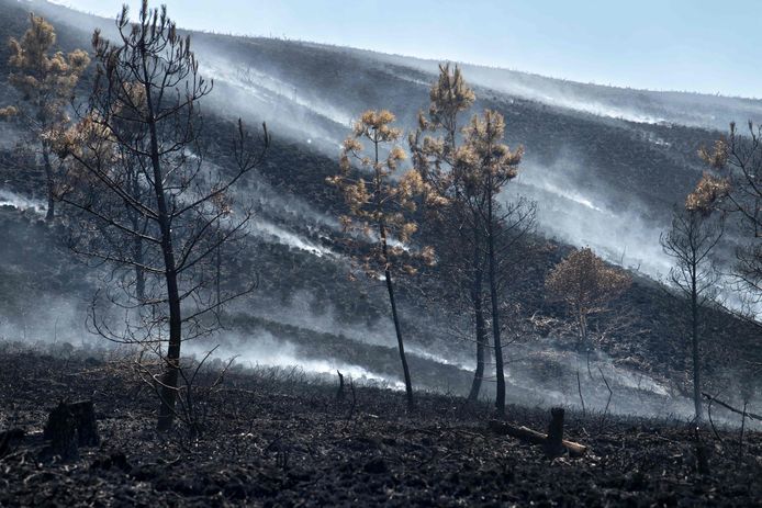 De bosbranden richtten aanzienlijke schade aan in Brasparts, in het westelijke Franse departement Bretagne.
