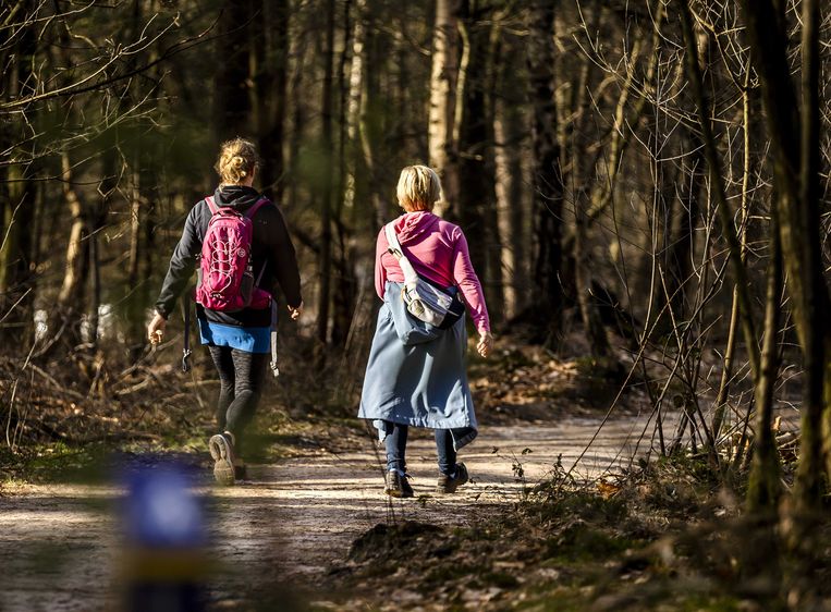 Ideaal wandelweer deze kerstvakantie, met temperaturen tot zelfs 14 graden. Beeld ANP
