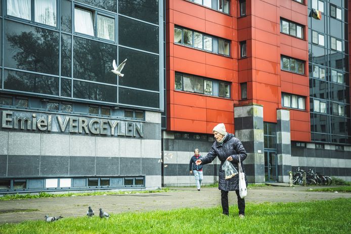 Huguette leidt de vogels af, voor ze Pino verse vis geeft.