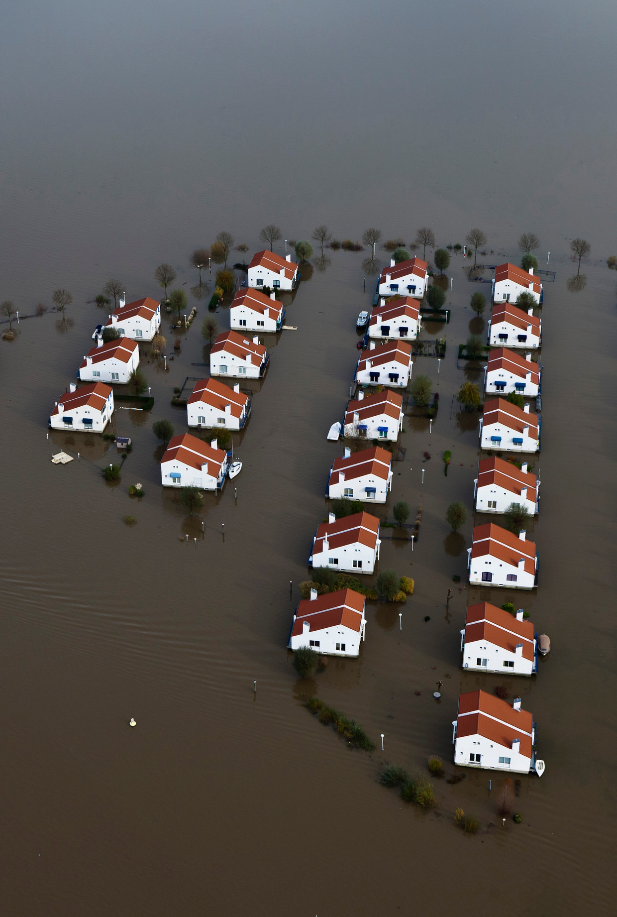 Adaptatie, Maasplassen. Recreatiewoningen geisoleerd door het hoogwater. De huizen zijn drijvende woningen die bij hoog water met het stijgende water meebewegen.  Beeld Hollandse Hoogte / Siebe Swart l