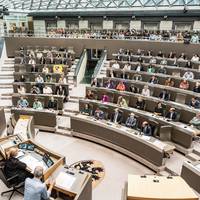 Onze democratie heeft niet zozeer minder parlementsleden nodig, wel minder managers en strategen