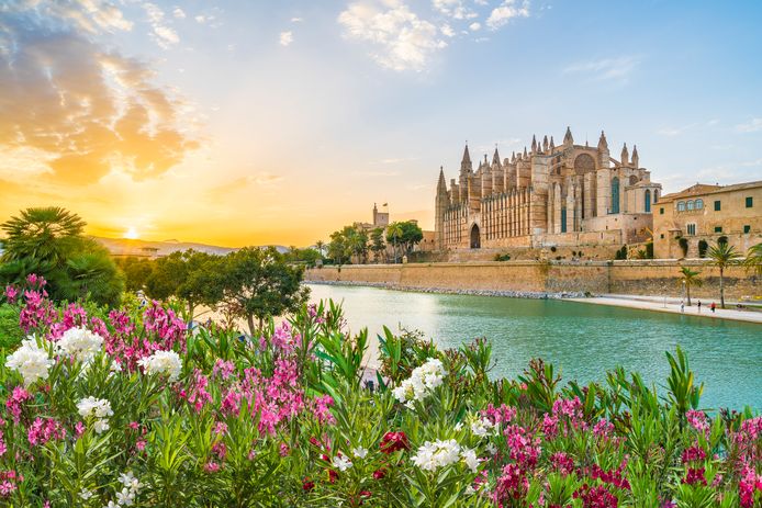 Si può chiamare la magnifica cattedrale gotica di Palma 