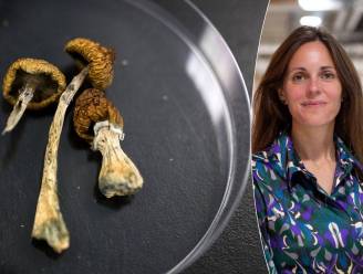 Genezen we straks ADHD of depressie met paddenstoelen? “Zelfs een kleine dosis heeft al een effect” 