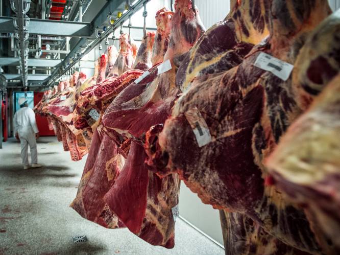 Slachthuizen lijken besmettingshaarden van coronavirus: is het vlees nog veilig?