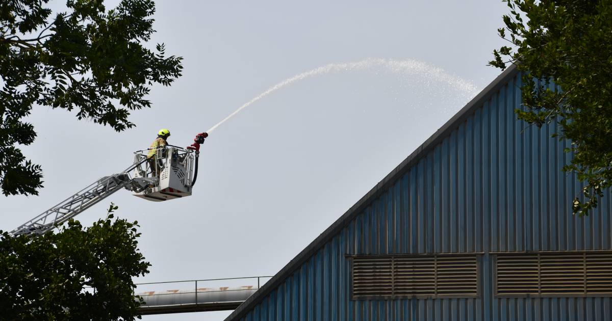 Brand in loods van groenvoerdrogerij Kortgene onder controle